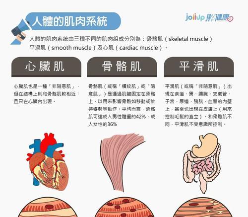 横纹肌溶解综合征与合聚物溶解（探究合聚物溶解对横纹肌溶解综合征的影响）