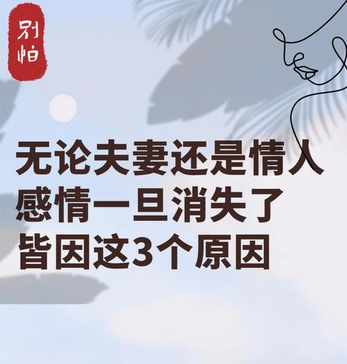 如何提升夫妻关系（结婚后如何相处，让爱情更美好）