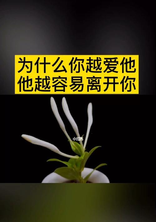 如何挽回你的心（重建信任、改变自我、积极沟通）