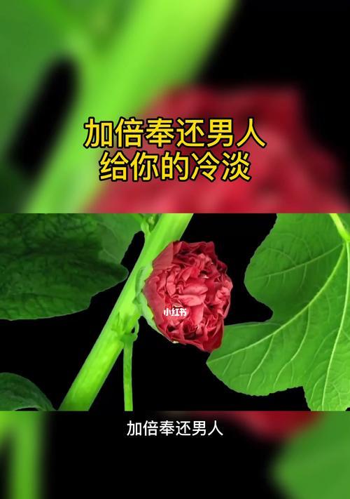 冷漠男人如何挽回？（教你从这15个方面入手，让他重新热情）