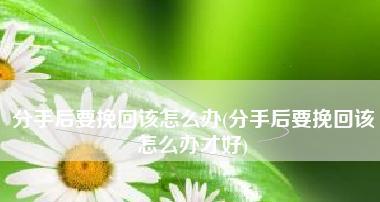 如何哄女友不生气（分手危机）