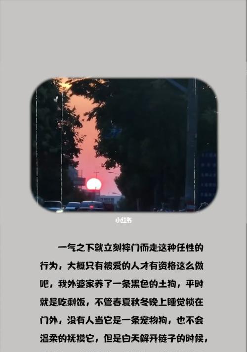 偏爱让女人幸福（男人的关爱为女人的自信保驾护航）