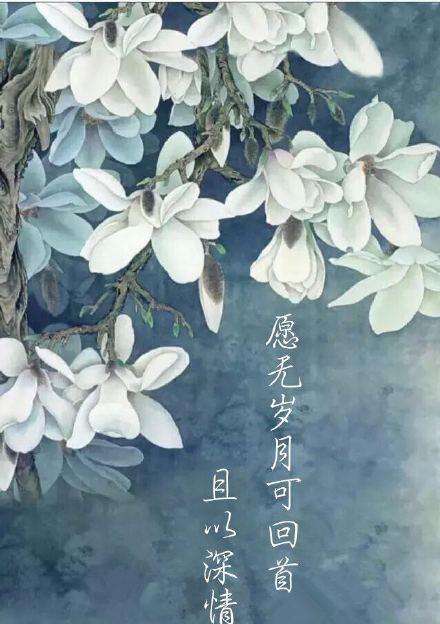 秦时明月，缘起挽回（女生情感治愈）