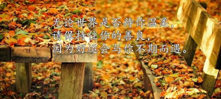 拥抱解脱——从已无法挽回的说说中走出困境（倾听心灵的呼声）