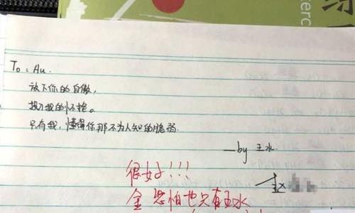 史上最感人的情书（用文字诉说爱情）