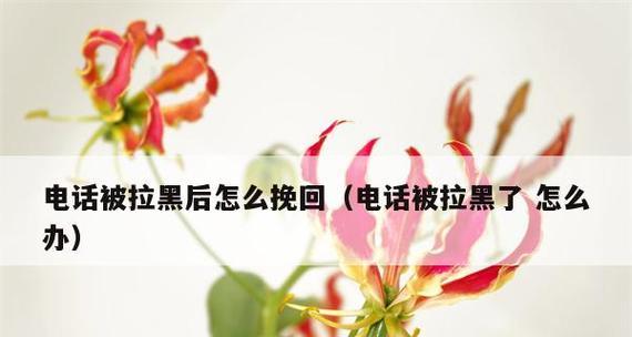 女朋友拉黑联系方式后如何挽回？有效沟通技巧是什么？