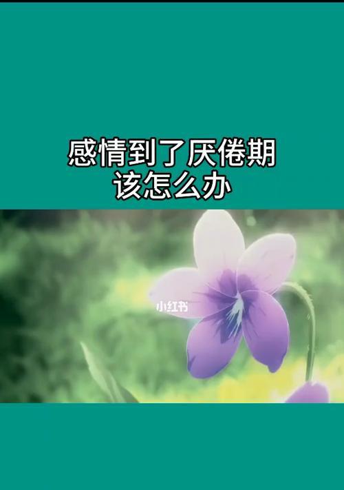 分手后如何挽回女友的心？重新追求的正确方法是什么？